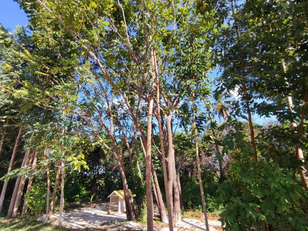 Casa Nova 2 Villa Sao Jose da Coroa Grande Exterior photo